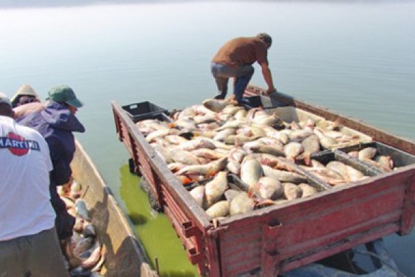 Comisia Europeană propune cote de pescuit în Marea Neagră pentru 2014